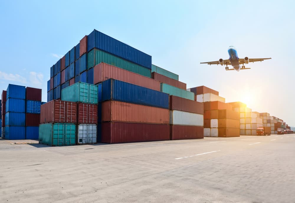 À propos de Roi Cargo